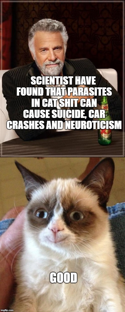 I can smell a storm coming! | SCIENTIST HAVE FOUND THAT PARASITES IN CAT SHIT CAN CAUSE SUICIDE, CAR CRASHES AND NEUROTICISM; GOOD | image tagged in grumpy cat,the most interesting man in the world,shit,facts | made w/ Imgflip meme maker