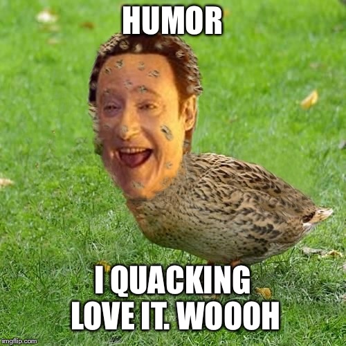 The Data Duck | HUMOR; I QUACKING LOVE IT. WOOOH | image tagged in the data duck | made w/ Imgflip meme maker
