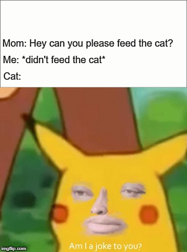 Am I a joke to you pikachu | Mom: Hey can you please feed the cat? Me: *didn't feed the cat*; Cat: | image tagged in am i a joke to you,pikachu,surprised pikachu,memes,funny memes,mom | made w/ Imgflip meme maker