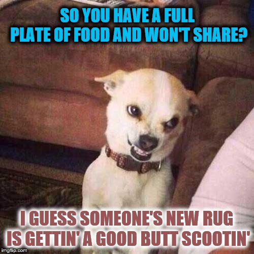 We can't have anything nice. |  SO YOU HAVE A FULL PLATE OF FOOD AND WON'T SHARE? I GUESS SOMEONE'S NEW RUG IS GETTIN' A GOOD BUTT SCOOTIN' | image tagged in memes,dogs,sharing,butt scoot,funny | made w/ Imgflip meme maker