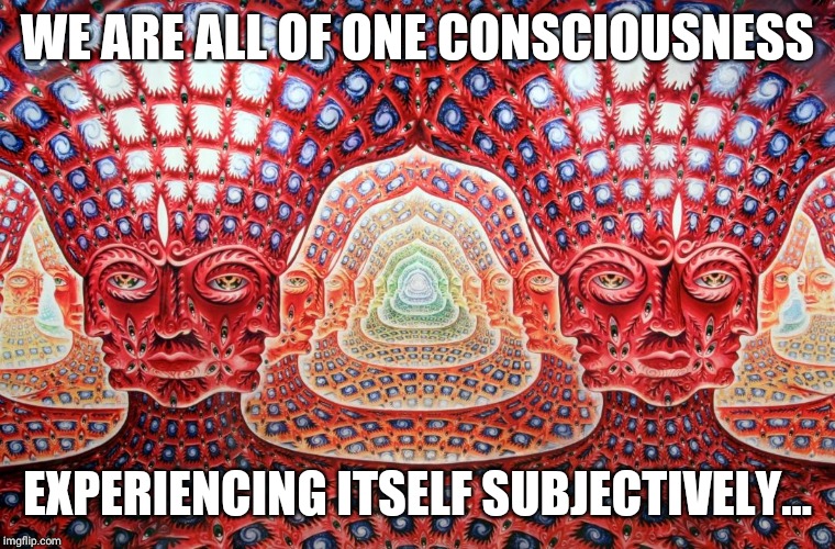 Feeling the vibe | WE ARE ALL OF ONE CONSCIOUSNESS; EXPERIENCING ITSELF SUBJECTIVELY... | image tagged in feeling the vibe | made w/ Imgflip meme maker