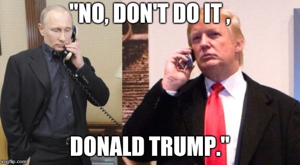 Trump Putin phone call | "NO, DON'T DO IT , DONALD TRUMP." | image tagged in trump putin phone call | made w/ Imgflip meme maker