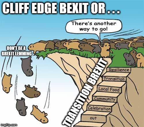 Don't be a Brexit Lemming | CLIFF EDGE BEXIT OR . . . DON'T BE A BREXIT LEMMING; TRANSITION BREXIT | image tagged in brexit,remain,leave,eu,boris ress-mogg,cheques deal | made w/ Imgflip meme maker