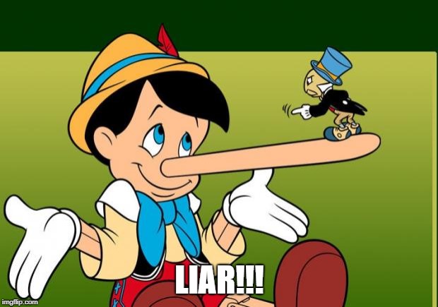 Liar | LIAR!!! | image tagged in liar | made w/ Imgflip meme maker