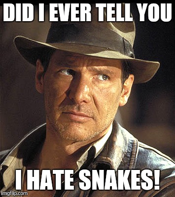 Indiana jones | DID I EVER TELL YOU I HATE SNAKES! | image tagged in indiana jones | made w/ Imgflip meme maker