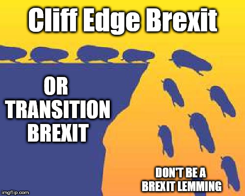 Don't be a Brexit Lemming | Cliff Edge Brexit; OR TRANSITION BREXIT; DON'T BE A BREXIT LEMMING | image tagged in brexit,remain,leave,boris ress-mogg,eu,chequers deal | made w/ Imgflip meme maker