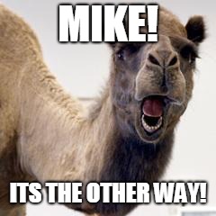 Camel | MIKE! ITS THE OTHER WAY! | image tagged in camel | made w/ Imgflip meme maker