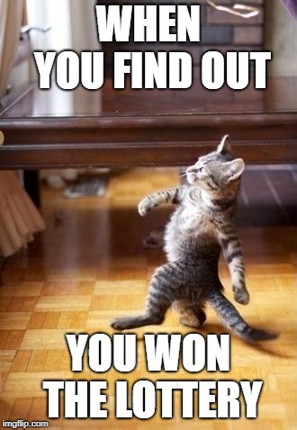 lottery winning cat | WHEN YOU FIND OUT; YOU WON THE LOTTERY | image tagged in memes,cool cat stroll,lottery | made w/ Imgflip meme maker