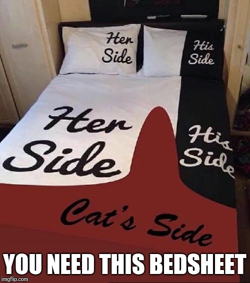 YOU NEED THIS BEDSHEET | made w/ Imgflip meme maker