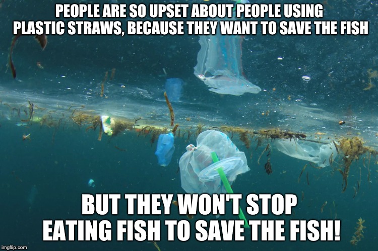 Plastic straws | PEOPLE ARE SO UPSET ABOUT PEOPLE USING PLASTIC STRAWS, BECAUSE THEY WANT TO SAVE THE FISH; BUT THEY WON'T STOP EATING FISH TO SAVE THE FISH! | image tagged in fish,environment,plastic straws,food,health | made w/ Imgflip meme maker