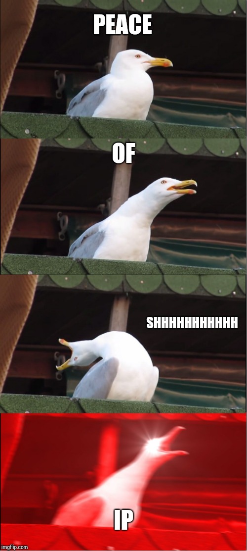 Inhaling Seagull | PEACE; OF; SHHHHHHHHHHH; IP | image tagged in memes,inhaling seagull | made w/ Imgflip meme maker