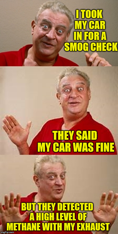 Bad Pun Dangerfield  | I TOOK MY CAR IN FOR A  SMOG CHECK; THEY SAID MY CAR WAS FINE; BUT THEY DETECTED A HIGH LEVEL OF METHANE WITH MY EXHAUST | image tagged in bad pun dangerfield,memes,fart,car,first world problems | made w/ Imgflip meme maker