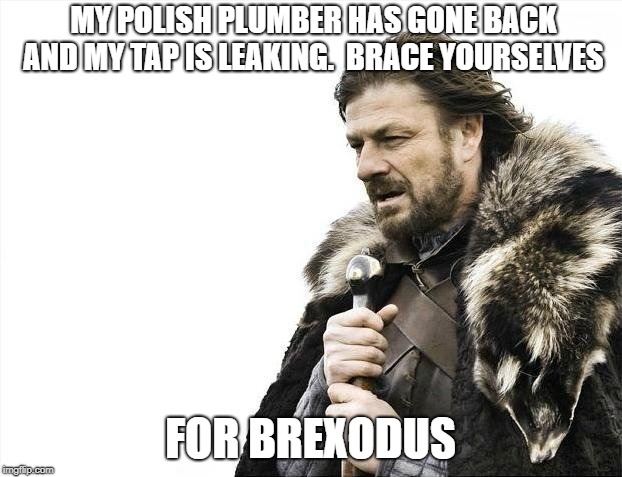 Brace Yourselves X is Coming Meme | MY POLISH PLUMBER HAS GONE BACK AND MY TAP IS LEAKING.  BRACE YOURSELVES; FOR BREXODUS | image tagged in memes,brace yourselves x is coming | made w/ Imgflip meme maker