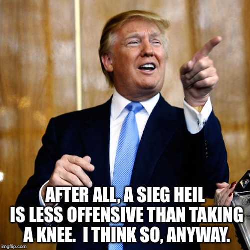 Donal Trump Birthday | AFTER ALL, A SIEG HEIL IS LESS OFFENSIVE THAN TAKING A KNEE.  I THINK SO, ANYWAY. | image tagged in donal trump birthday | made w/ Imgflip meme maker