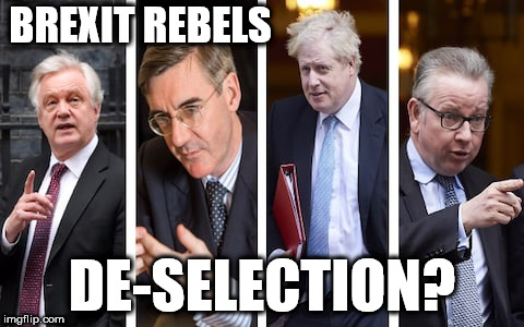 Brexit rebels - Tory leadership challenge  | BREXIT REBELS; DE-SELECTION? | image tagged in remain,leave,eu,self serving idiots,the nasty party,theresa may | made w/ Imgflip meme maker