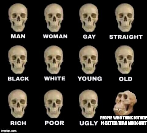 idiot skull | PEOPLE  WHO THINK FOTNITE IS BETTER THAN MINECRAFT | image tagged in idiot skull | made w/ Imgflip meme maker