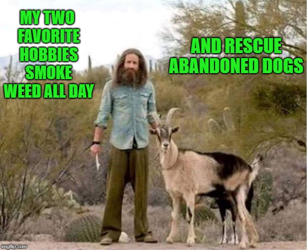to each his own | AND RESCUE ABANDONED DOGS; MY TWO FAVORITE HOBBIES SMOKE WEED ALL DAY | image tagged in weed,goats,dogs | made w/ Imgflip meme maker