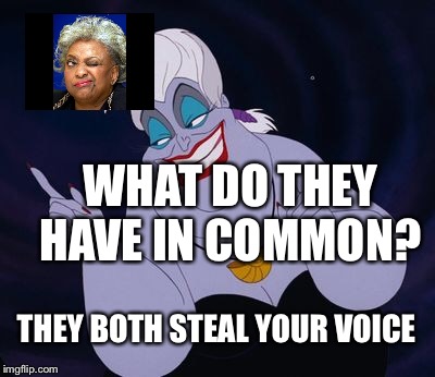Election fraud | WHAT DO THEY HAVE IN COMMON? THEY BOTH STEAL YOUR VOICE | image tagged in midterm electioms,florida,recount | made w/ Imgflip meme maker