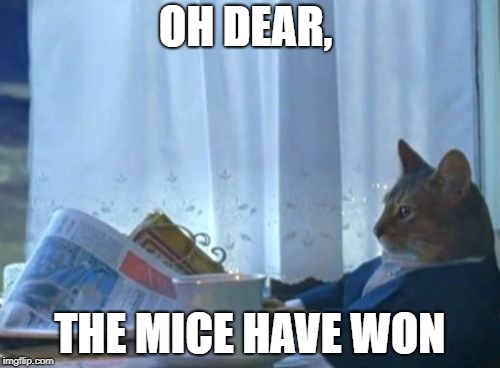 I Should Buy A Boat Cat Meme | OH DEAR, THE MICE HAVE WON | image tagged in memes,i should buy a boat cat | made w/ Imgflip meme maker