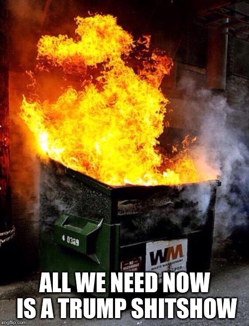 Dumpster Fire | ALL WE NEED NOW IS A TRUMP SHITSHOW | image tagged in dumpster fire | made w/ Imgflip meme maker