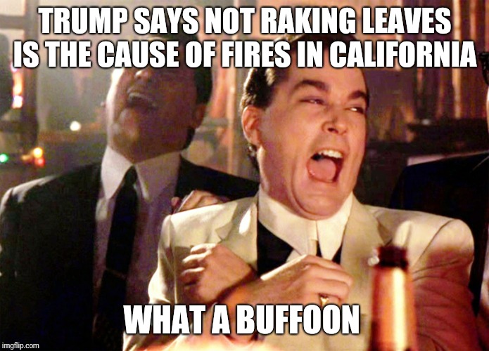 Good Fellas Hilarious Meme | TRUMP SAYS NOT RAKING LEAVES IS THE CAUSE OF FIRES IN CALIFORNIA; WHAT A BUFFOON | image tagged in memes,good fellas hilarious | made w/ Imgflip meme maker