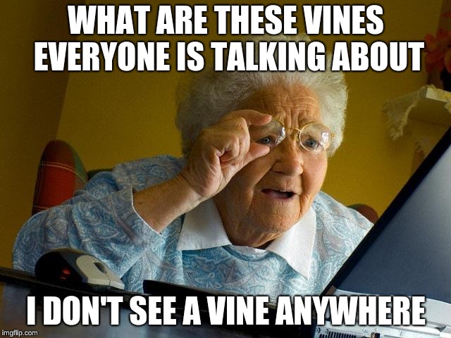 Grandma Finds The Internet | WHAT ARE THESE VINES EVERYONE IS TALKING ABOUT; I DON'T SEE A VINE ANYWHERE | image tagged in memes,grandma finds the internet | made w/ Imgflip meme maker