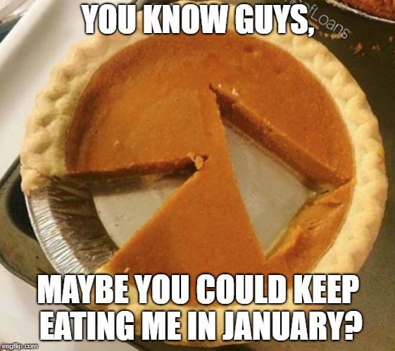 So not happening. | YOU KNOW GUYS, MAYBE YOU COULD KEEP EATING ME IN JANUARY? | image tagged in pumpkin pie fight,november,happy thanksgiving,pie | made w/ Imgflip meme maker