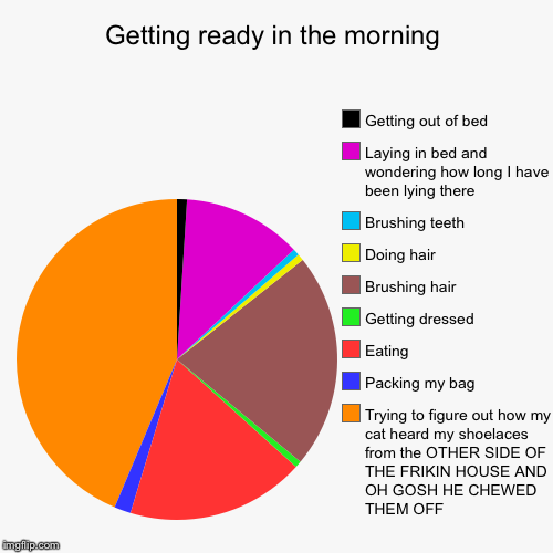 Getting ready in the morning | Trying to figure out how my cat heard my shoelaces from the OTHER SIDE OF THE FRIKIN HOUSE AND OH GOSH HE CHE | image tagged in funny,pie charts | made w/ Imgflip chart maker
