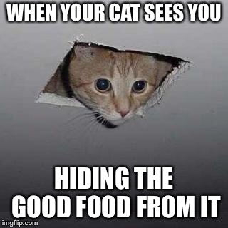 Ceiling Cat | WHEN YOUR CAT SEES YOU; HIDING THE GOOD FOOD FROM IT | image tagged in memes,ceiling cat | made w/ Imgflip meme maker