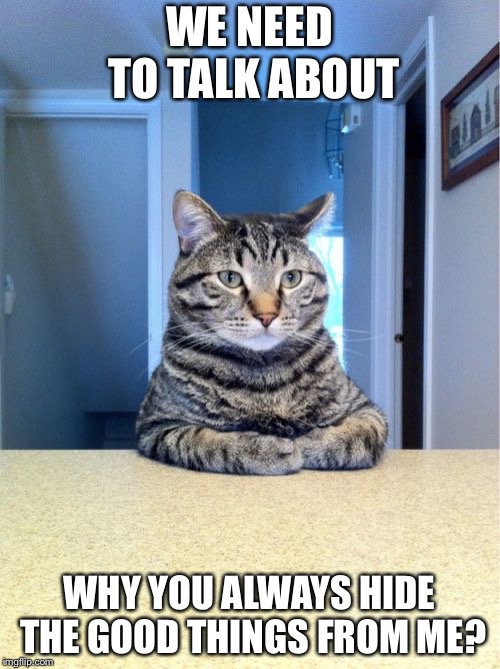 Take A Seat Cat | WE NEED TO TALK ABOUT; WHY YOU ALWAYS HIDE THE GOOD THINGS FROM ME? | image tagged in memes,take a seat cat | made w/ Imgflip meme maker