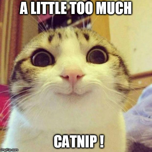 Smiling Cat | A LITTLE TOO MUCH; CATNIP ! | image tagged in memes,smiling cat | made w/ Imgflip meme maker