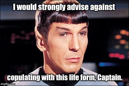 Condescending Spock | I would strongly advise against copulating with this life form, Captain. | image tagged in condescending spock | made w/ Imgflip meme maker