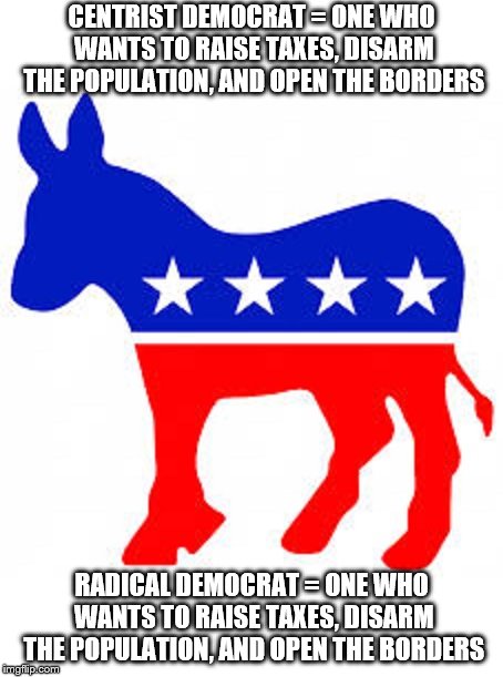 Democrat donkey | CENTRIST DEMOCRAT = ONE WHO WANTS TO RAISE TAXES, DISARM THE POPULATION, AND OPEN THE BORDERS; RADICAL DEMOCRAT = ONE WHO WANTS TO RAISE TAXES, DISARM THE POPULATION, AND OPEN THE BORDERS | image tagged in democrat donkey | made w/ Imgflip meme maker