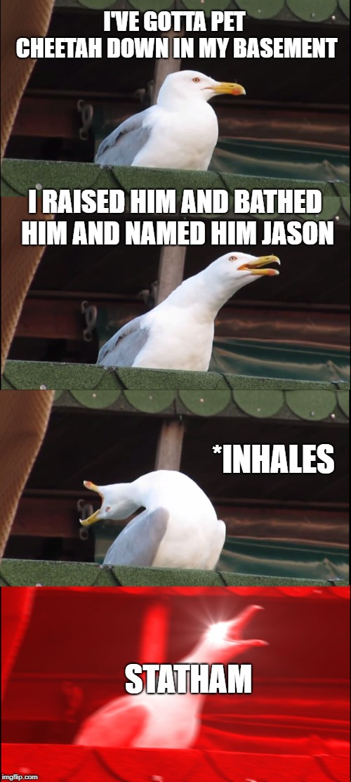 Inhaling Seagull Meme | I'VE GOTTA PET CHEETAH DOWN IN MY BASEMENT; I RAISED HIM AND BATHED HIM AND NAMED HIM JASON; *INHALES; STATHAM | image tagged in memes,inhaling seagull | made w/ Imgflip meme maker