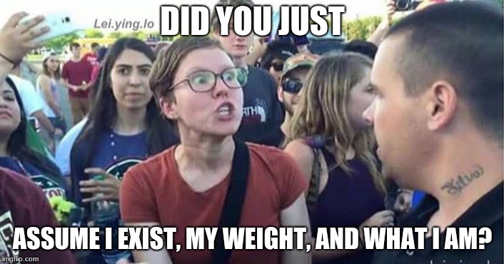 Did you just assume my gender | DID YOU JUST ASSUME I EXIST, MY WEIGHT, AND WHAT I AM? | image tagged in did you just assume my gender | made w/ Imgflip meme maker