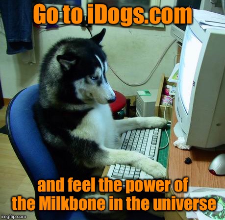 I Have No Idea What I Am Doing Meme | Go to iDogs.com and feel the power of the Milkbone in the universe | image tagged in memes,i have no idea what i am doing | made w/ Imgflip meme maker