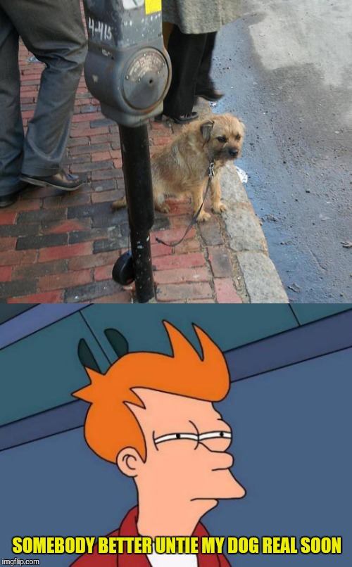 SOMEBODY BETTER UNTIE MY DOG REAL SOON | image tagged in memes,futurama fry,dogs | made w/ Imgflip meme maker