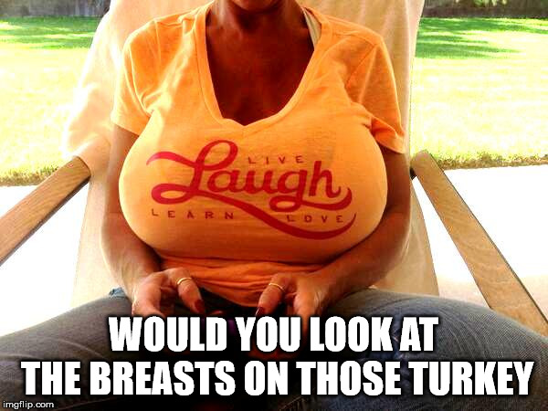 WOULD YOU LOOK AT THE BREASTS ON THOSE TURKEY | image tagged in laugh | made w/ Imgflip meme maker
