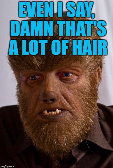 wolfman | EVEN I SAY, DAMN THAT'S A LOT OF HAIR | image tagged in wolfman | made w/ Imgflip meme maker