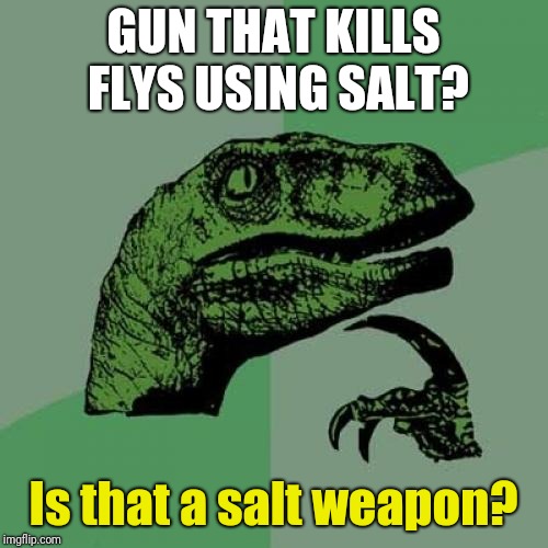 Philosoraptor | GUN THAT KILLS FLYS USING SALT? Is that a salt weapon? | image tagged in memes,philosoraptor | made w/ Imgflip meme maker