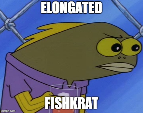 Spongebob angry fish | ELONGATED; FISHKRAT | image tagged in spongebob angry fish | made w/ Imgflip meme maker