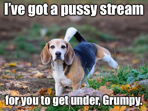 I’ve got a pussy stream for you to get under, Grumpy. | made w/ Imgflip meme maker