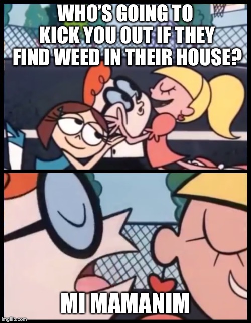 Say it Again, Dexter | WHO’S GOING TO KICK YOU OUT IF THEY FIND WEED IN THEIR HOUSE? MI MAMANIM | image tagged in say it again dexter | made w/ Imgflip meme maker