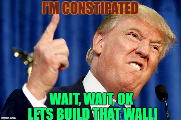 Donald Trump | I'M CONSTIPATED; WAIT, WAIT, OK LETS BUILD THAT WALL! | image tagged in donald trump | made w/ Imgflip meme maker