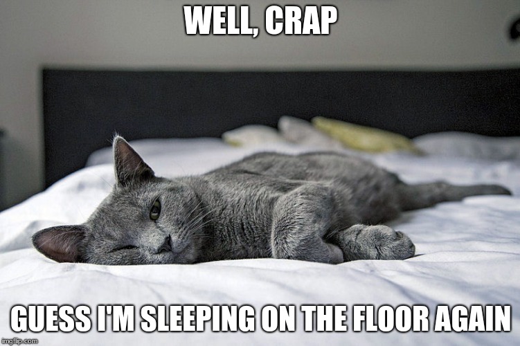 Sleeping on the floor again | WELL, CRAP; GUESS I'M SLEEPING ON THE FLOOR AGAIN | image tagged in sleepy cat,memes,cats,sleeping beauty | made w/ Imgflip meme maker