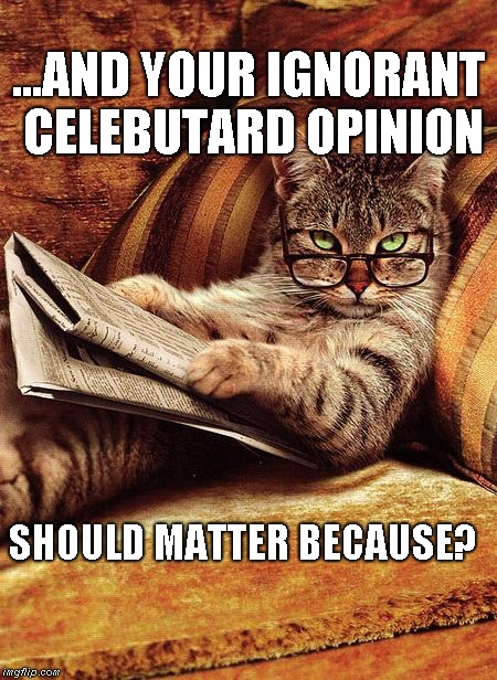 Celebutard opinions | ...AND YOUR IGNORANT CELEBUTARD OPINION; SHOULD MATTER BECAUSE? | image tagged in cat reading,celebutards,hollywood degenerates | made w/ Imgflip meme maker