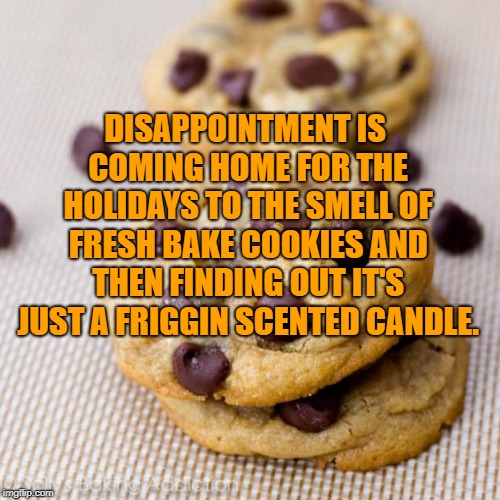 Punny Cookies |  DISAPPOINTMENT IS COMING HOME FOR THE HOLIDAYS TO THE SMELL OF FRESH BAKE COOKIES AND THEN FINDING OUT IT'S JUST A FRIGGIN SCENTED CANDLE. | image tagged in holidays,thanksgiving,cookies,funny,memes,christmas | made w/ Imgflip meme maker