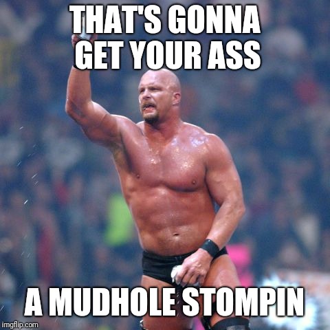 Stone Cold Steve Austin | THAT'S GONNA GET YOUR ASS A MUDHOLE STOMPIN | image tagged in stone cold steve austin | made w/ Imgflip meme maker