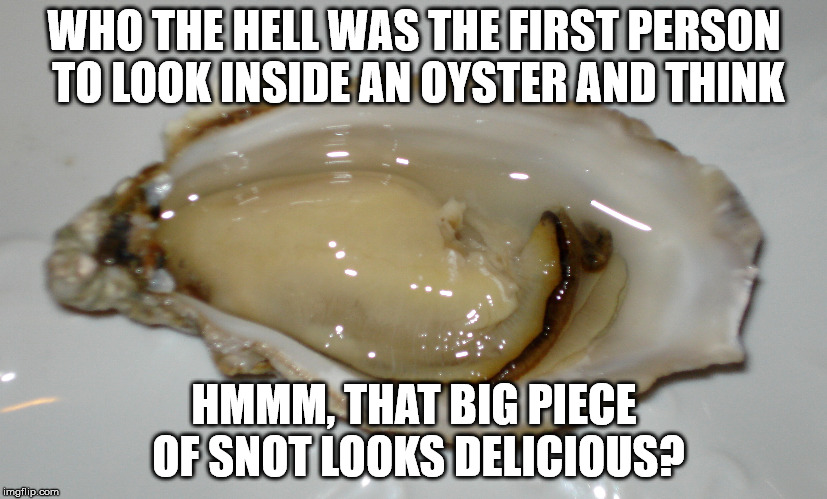 WHO THE HELL WAS THE FIRST PERSON TO LOOK INSIDE AN OYSTER AND THINK; HMMM, THAT BIG PIECE OF SNOT LOOKS DELICIOUS? | image tagged in oyster | made w/ Imgflip meme maker
