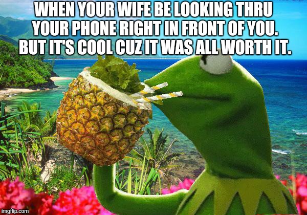 vacation kermit | WHEN YOUR WIFE BE LOOKING THRU YOUR PHONE RIGHT IN FRONT OF YOU. BUT IT'S COOL CUZ IT WAS ALL WORTH IT. | image tagged in vacation kermit | made w/ Imgflip meme maker